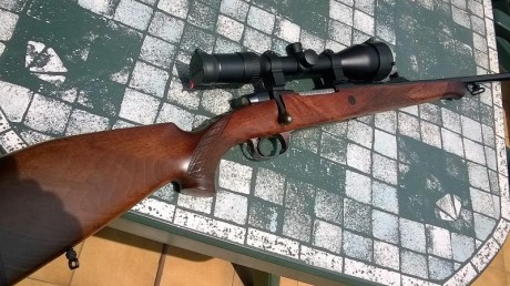 Sólo era para iniciar un debate sobre estos rifles, me refiero a los voere de cerrojo y al semiautomático.

A 171