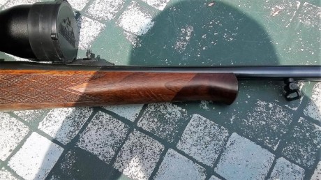 Sólo era para iniciar un debate sobre estos rifles, me refiero a los voere de cerrojo y al semiautomático.

A 170