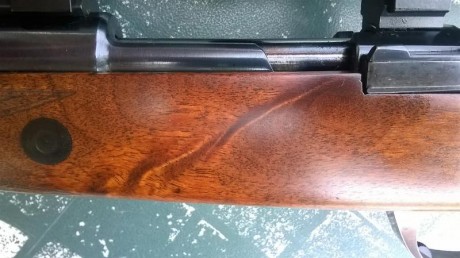 Sólo era para iniciar un debate sobre estos rifles, me refiero a los voere de cerrojo y al semiautomático.

A 01