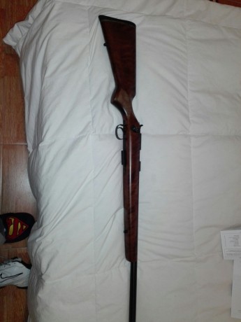PONGO A LA VENTA ESTA JOYA DE UN COMPAÑERO ES UNA CZ455 VARMINT(CAÑON PESADO) EN 17HMR TIENE UN AÑO DE 11
