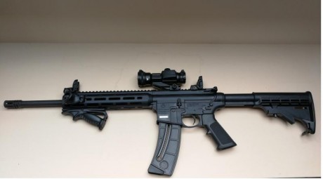  anuncio carabina.jpg 
Se vende carabina Smith&Wesson M&P15 22lr versión SPORT, en perfecto estado. 00