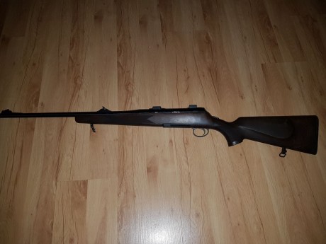 Vendo rifle Titan 6 en calibre 30-06 con monturas appel originales de 30 (NO polinicoleta) 
El rifle está 01