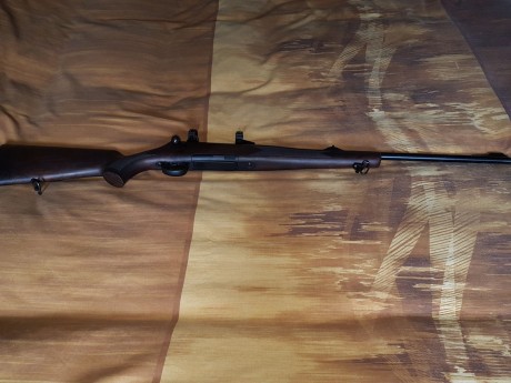 Vendo rifle Titan 6 en calibre 30-06 con monturas appel originales de 30 (NO polinicoleta) 
El rifle está 00