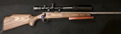Pongo a la venta una carabina Remington 504-T HB LS en calibre 22Lr.
 Es el modelo Custom Target;  heavy 02
