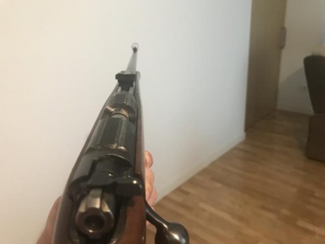 Hola buenas noches compañeros!!!! Vendo mi cz452 por no darle uso y tirar con calibre más grandes. El 01