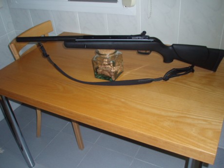 Hola,

La Semana próxima, Dios mediante, espero pofdero presentar a una nueva señora (no le llamaremos 21