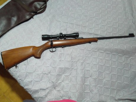 Vendo Carabina BRNO calibre 22, con dos cargadores y funda  de transporte, está en perfectas condiciones 40