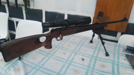 Que opinión teneis de las culatas con el pistolet  tipo blaser success,  o sauer synchro?? 100