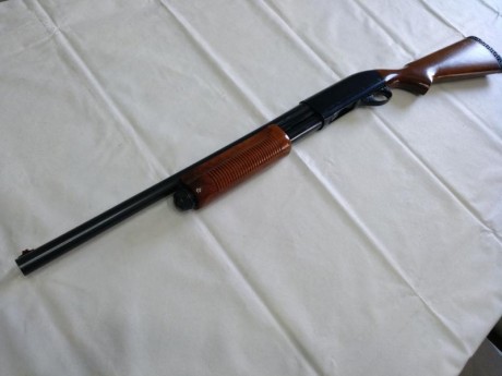 Hola a todos, 
Por dejar la caza, pongo a la venta mis escopetas. 
Escopeta repetidora Remington 870, 02