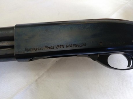 Hola a todos, 
Por dejar la caza, pongo a la venta mis escopetas. 
Escopeta repetidora Remington 870, 01
