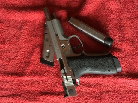 Hola a todos .
Por cese de actividad pongo a la venta las armas cortas que poseo. Como es natural también 81