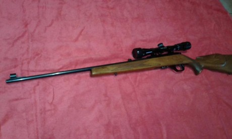 Preciosa carabina semiautomática con selector tiro a tiro. Cañón de 60 centímetros. No se encasquilla 02