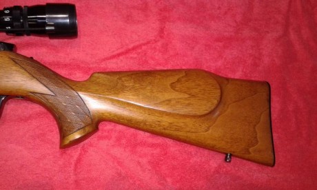 Preciosa carabina semiautomática con selector tiro a tiro. Cañón de 60 centímetros. No se encasquilla 12