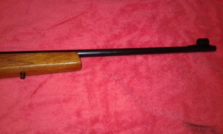Preciosa carabina semiautomática con selector tiro a tiro. Cañón de 60 centímetros. No se encasquilla 11