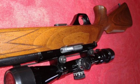 Preciosa carabina semiautomática con selector tiro a tiro. Cañón de 60 centímetros. No se encasquilla 00