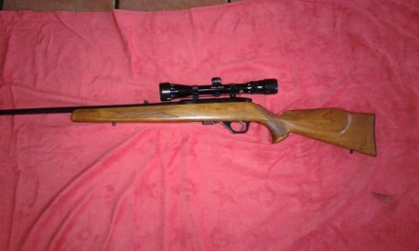 Preciosa carabina semiautomática con selector tiro a tiro. Cañón de 60 centímetros. No se encasquilla 10