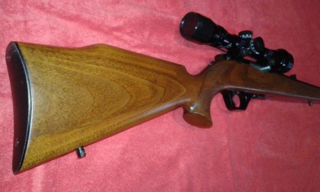 Preciosa carabina semiautomática con selector tiro a tiro. Cañón de 60 centímetros. No se encasquilla 22
