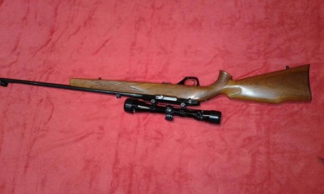 Preciosa carabina semiautomática con selector tiro a tiro. Cañón de 60 centímetros. No se encasquilla 20