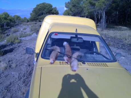 Voy a poner unas fotos del visor mirando en dirección al sol pues parece que en algunos sitios de cuyo 10