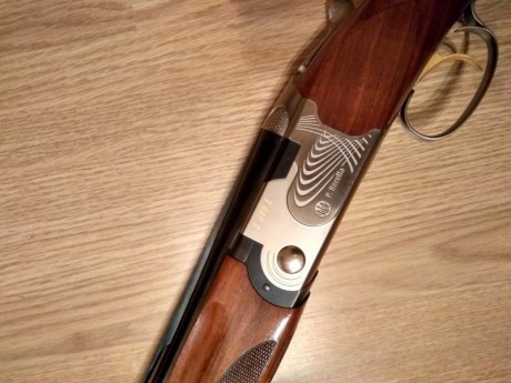 Vendo Beretta 686 E TRAP de 76 con ** y *. La tengo desde 2012 aproximadamente y conmigo no tiró mas de 00