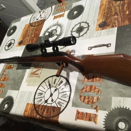 Rifle semiautomatico con capacidad para 15 balas, visor Armex deluxe 3-9X40. Un par de pequeñas marcas 02