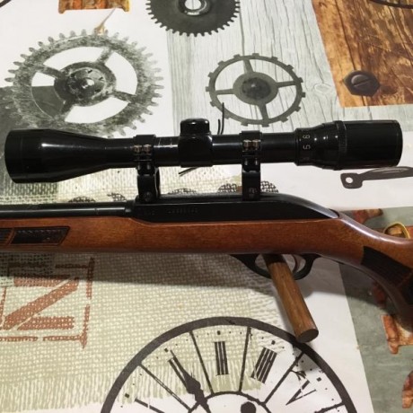 Rifle semiautomatico con capacidad para 15 balas, visor Armex deluxe 3-9X40. Un par de pequeñas marcas 01