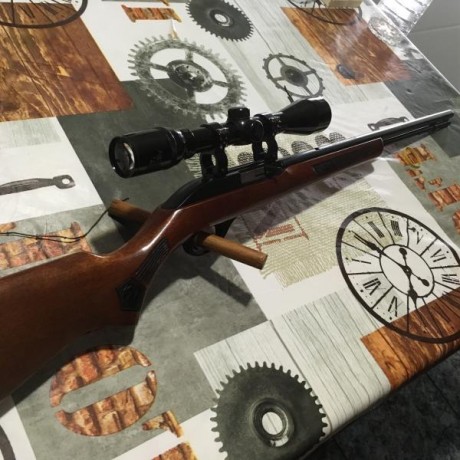 Rifle semiautomatico con capacidad para 15 balas, visor Armex deluxe 3-9X40. Un par de pequeñas marcas 00