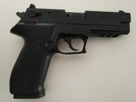 Hola compañeros vendo o cambio por smith & wesson MP 22  esta sig sauer mosquito que tiene solamente 02