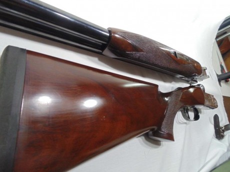 Vendo Flli Gamba Astor 620 cal12., cañón de 74cm, marcado XX8. Aspecto impecable. 2** y  4****. Muy suave 02