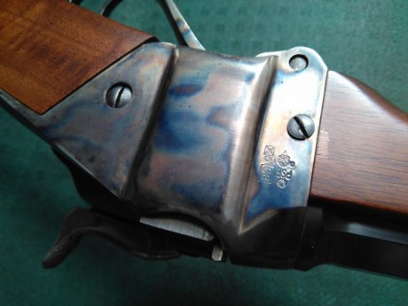 Vendo un rifle sharps de competicion, calibre 45/70, cañon octogonal pesado de 86cm (34"), es de 22