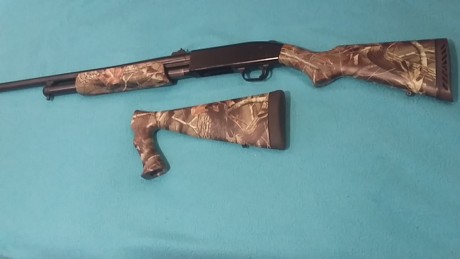 Vendo escopeta de corredera Mossberg 500 del 12magnum. Cañon liso.
Con dos culatas. Camuflada por hidroimpresion.
Estado 02
