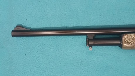 Vendo escopeta de corredera Mossberg 500 del 12magnum. Cañon liso.
Con dos culatas. Camuflada por hidroimpresion.
Estado 00