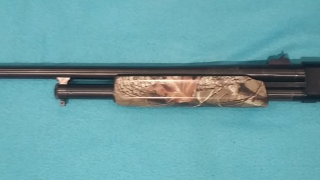 Vendo escopeta de corredera Mossberg 500 del 12magnum. Cañon liso.
Con dos culatas. Camuflada por hidroimpresion.
Estado 12