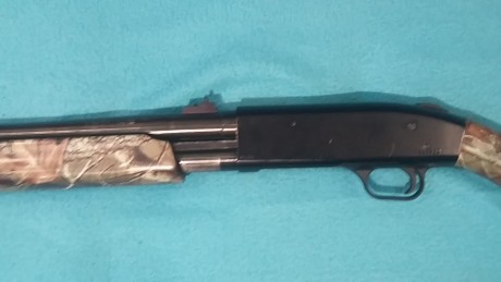 Vendo escopeta de corredera Mossberg 500 del 12magnum. Cañon liso.
Con dos culatas. Camuflada por hidroimpresion.
Estado 11