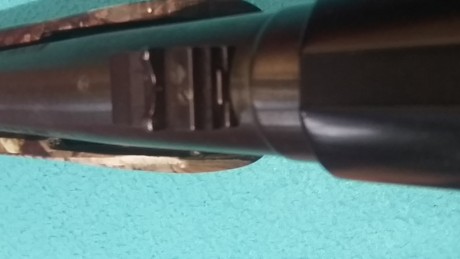 Vendo escopeta de corredera Mossberg 500 del 12magnum. Cañon liso.
Con dos culatas. Camuflada por hidroimpresion.
Estado 21