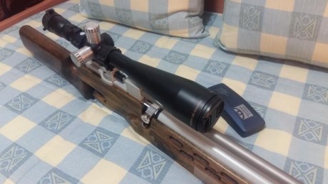 Pocas cosas nuevas se pueden decir de esta magnífica carabina de a.c. (ver Spairgun o Rapidairweapons). 10