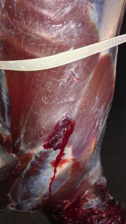 Buenos días. Resumo. Hace como un año compré una Marlin de ese calibre pensando en el chaval que parece 40