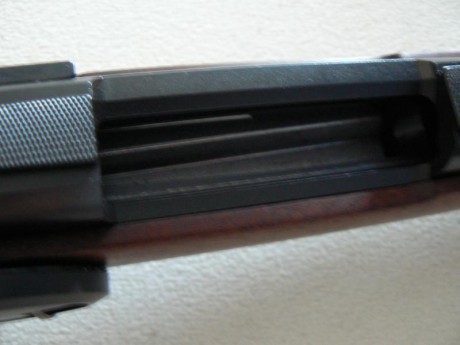  P1030719.JPG 
 P1030717.JPG 
 P1030715.JPG  10