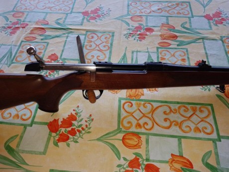 Vendo rifle BSAen calibre 270 winchester. Sin apenas uso. Ha tirado una caja y media de balas.

PRECIO 01