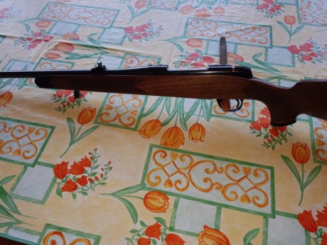 Vendo rifle BSAen calibre 270 winchester. Sin apenas uso. Ha tirado una caja y media de balas.

PRECIO 00