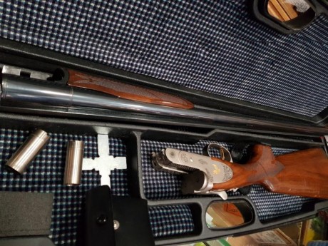 Cal 12  expulsores y polichoques modernos benelli/beretta 02