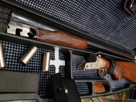 Cal 12  expulsores y polichoques modernos benelli/beretta 01