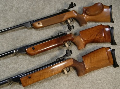 Buenas.
No soy usuario de AC, así que necesito info.

Un conocido tiene una carabina Walther LGV Olympia 10
