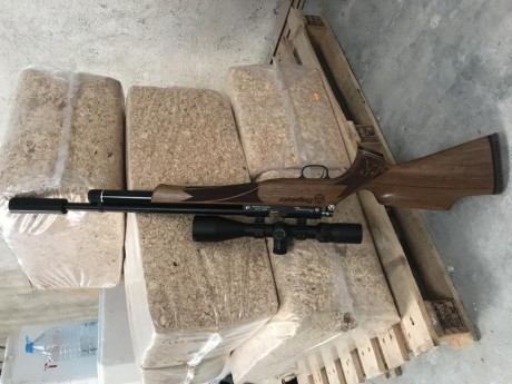 Se vende daystate huntsman regal xl 4,5 rn perfecto estado sin uso y sin ninguna marca ni roce aunque 12