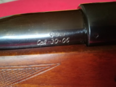 Pues eso, que nos invitaron a decir aquí lo mierda que es el 30-06...

https://www.armas.es/foros/conversacion-general/se-sabe-algo-de-jabali-viejo-1041988

Yo 100