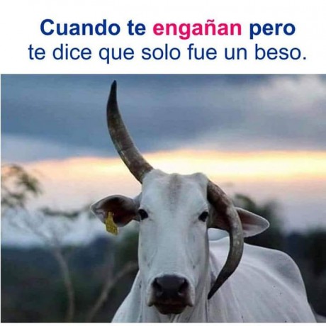 Con lo dado que somos los españoles a los chistes y que en este foro no se vean  :shock:  :shock:  :shock: 80