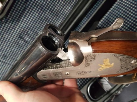 Cal 12  expulsores y polichoques modernos benelli/beretta 00