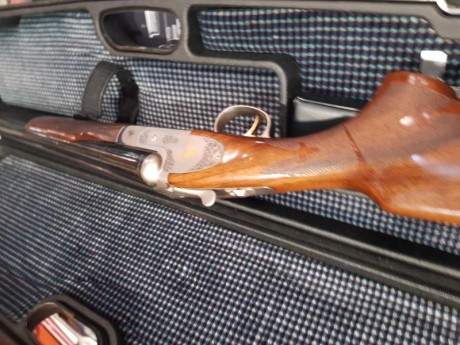 Cal 12  expulsores y polichoques modernos benelli/beretta 31