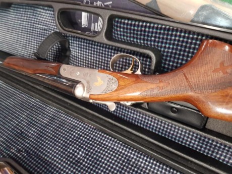 Cal 12  expulsores y polichoques modernos benelli/beretta 30