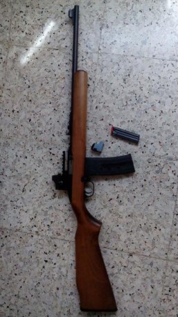 CBC Magtech 7022 carabina .22lr. Perfecto estado, prácticamente como nuevo y fiable. 

Carril Weaver y 00